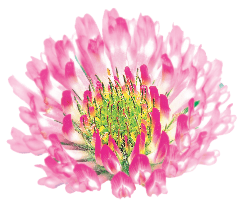 LetsTalkMenopause